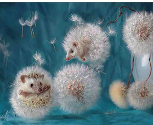 Hedgehogs