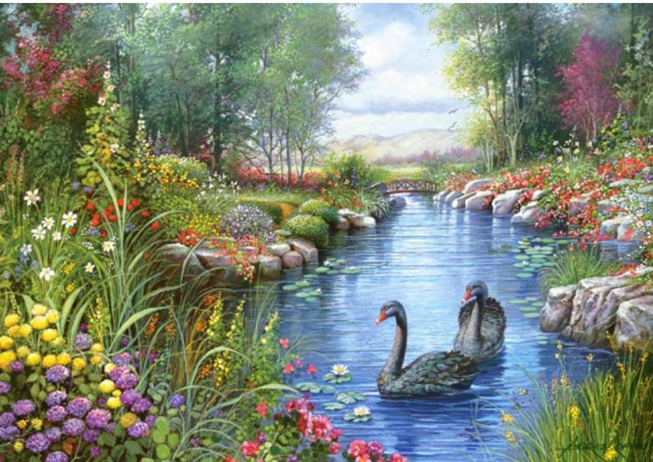 Swans in a Beautiful Pond