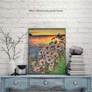 Daisies, Sunset and Sea