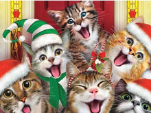 Load image into Gallery viewer, cats xmas diamond painting