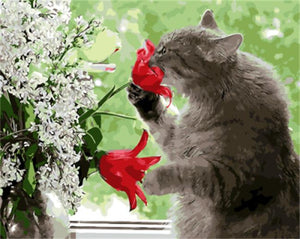 Cat Playing paint with numbers