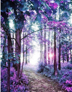 Landscapes