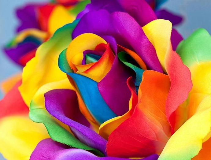 Multi-color Rose - Paint with Diamonds