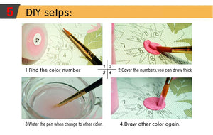 Simple Paint by Numbers Kit