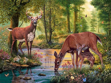 Load image into Gallery viewer, deer paint with diamonds