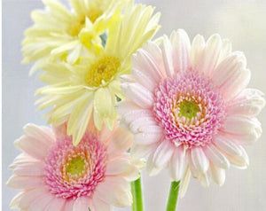 full diamond painting