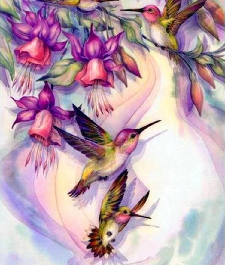 Hummingbirds & Flowers
